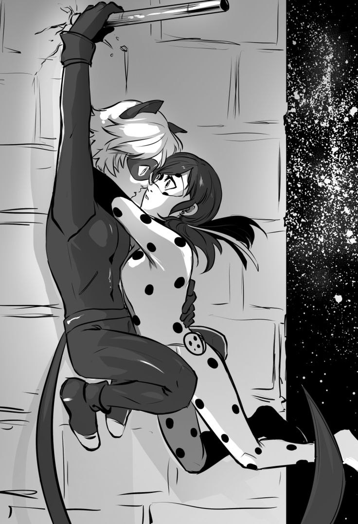 Lady Bug and Super Cat Hent