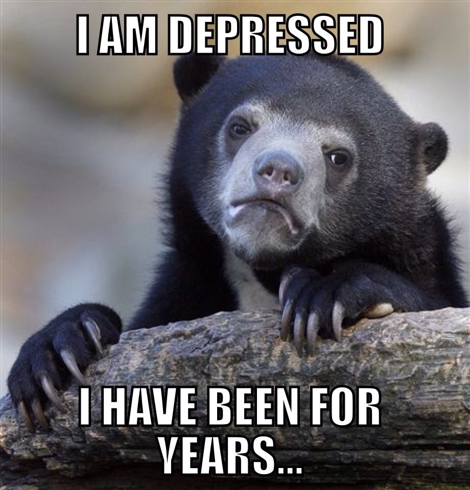 Sad bear meme