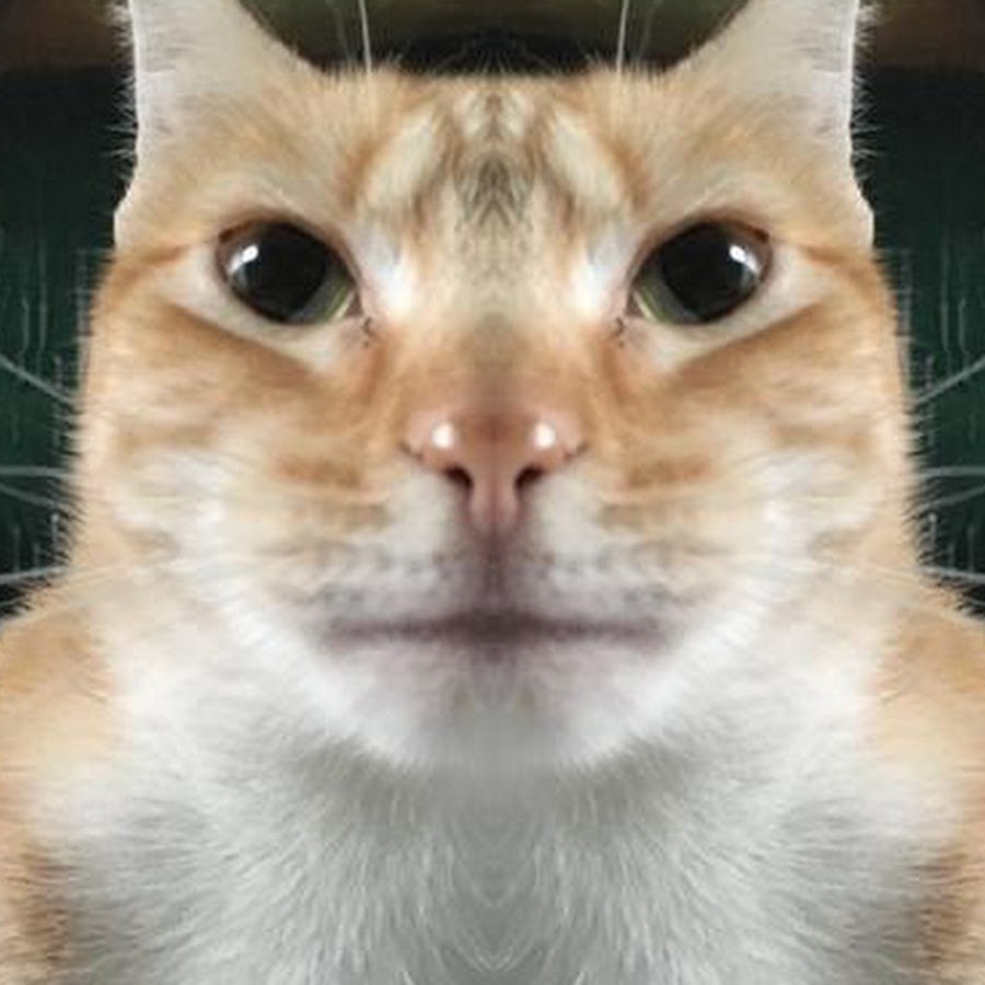 Negro with watermelon on the head