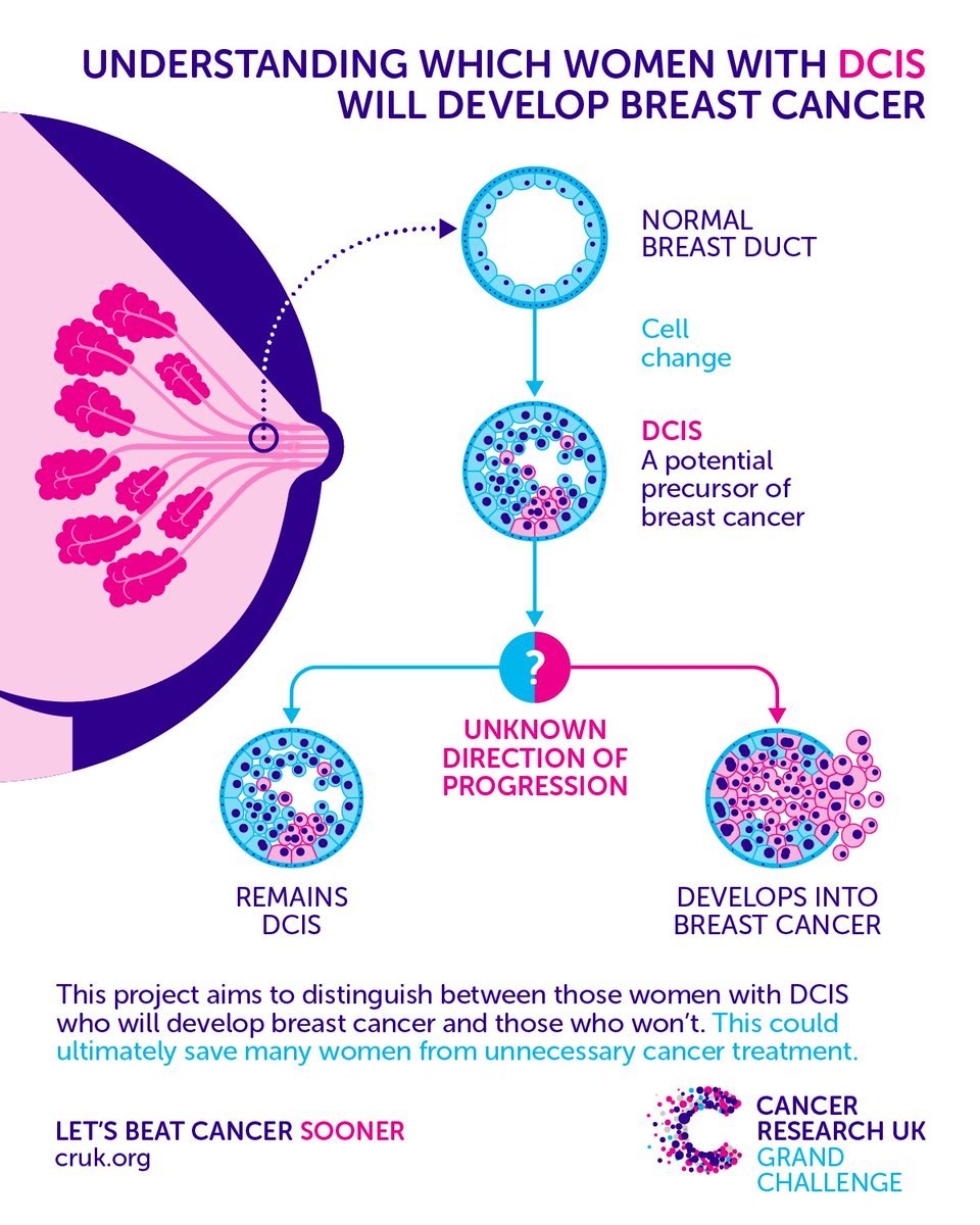 Girls Clitless Circumcid Model
