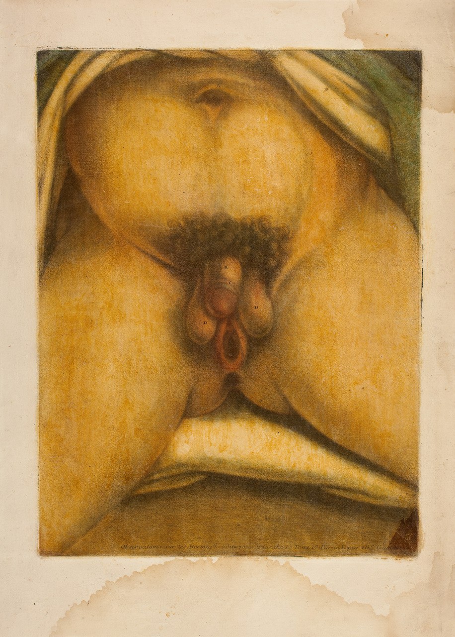 Girls with a member and vagina