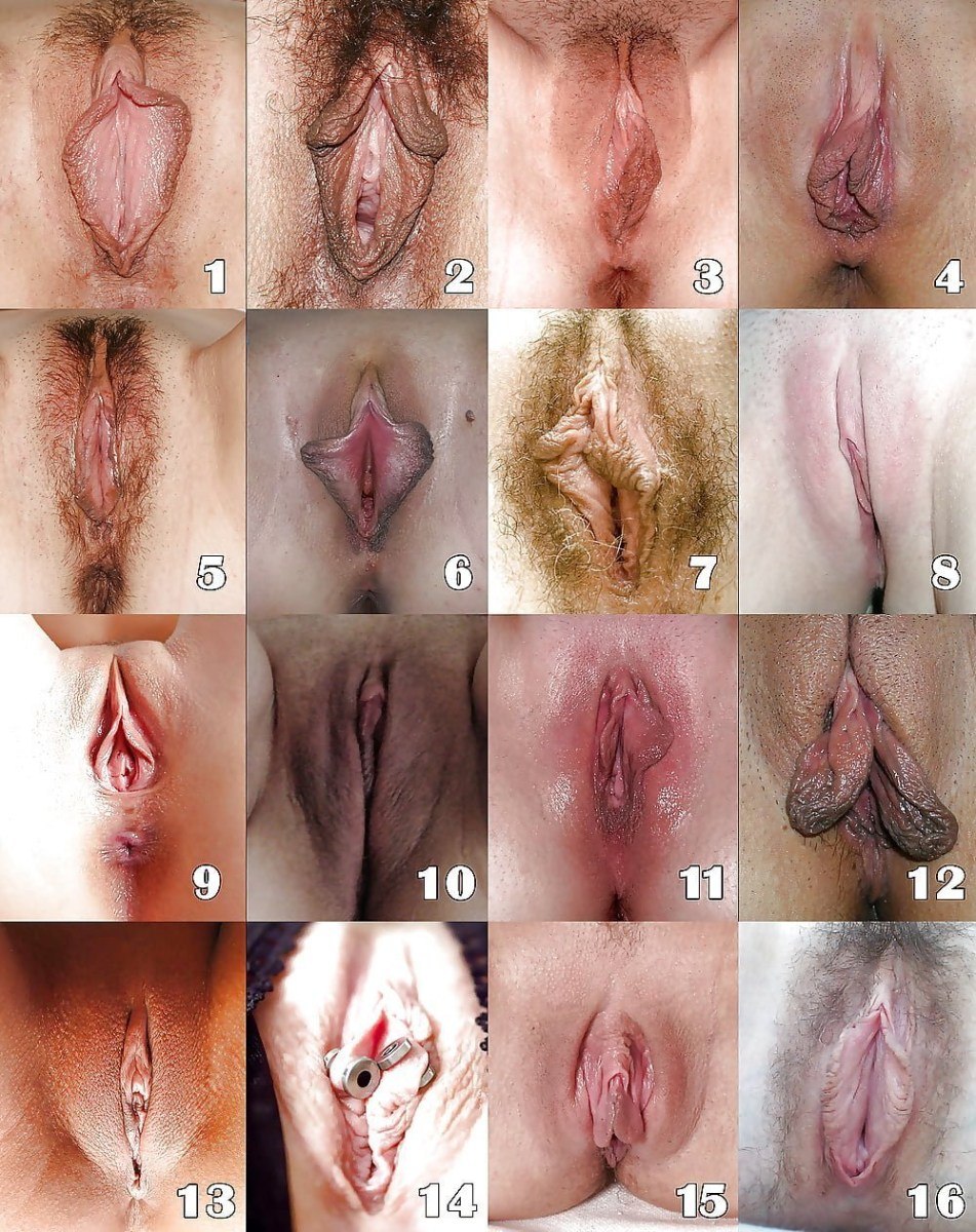 The Most Beautiful Vulva Photos Porn