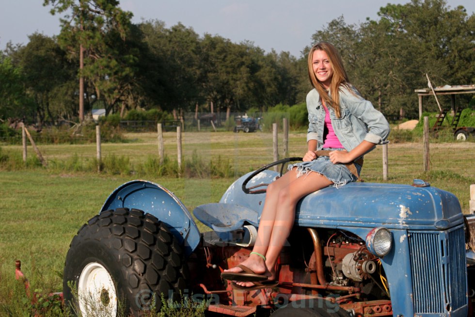The dog is on the tractor