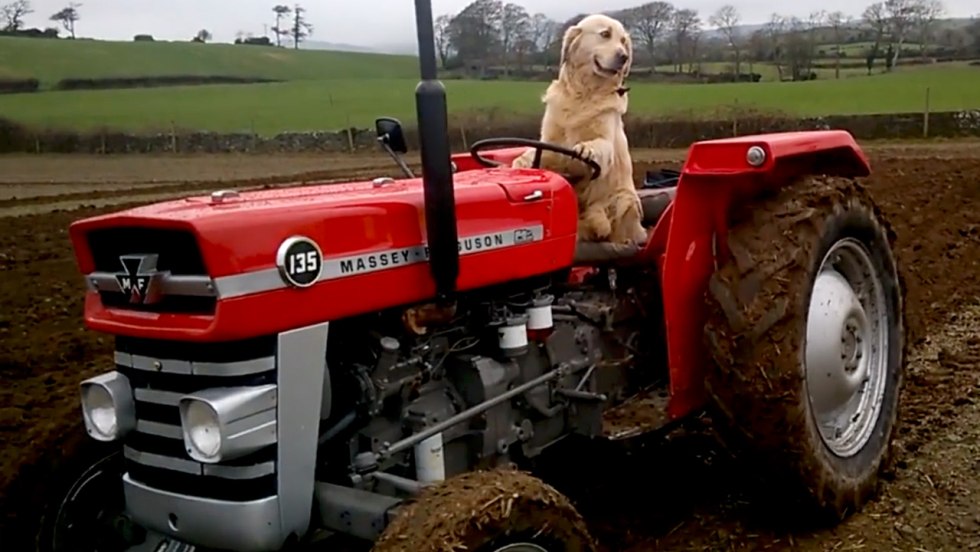 Girl on the tractor