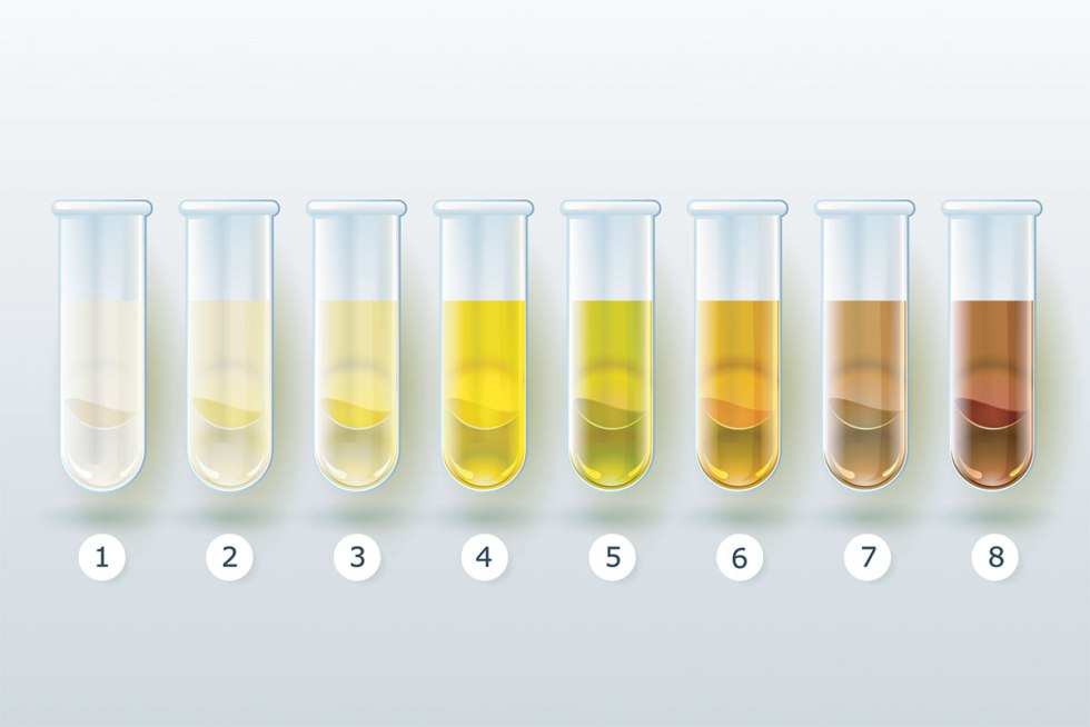 Sisters's husband for a brother who has to