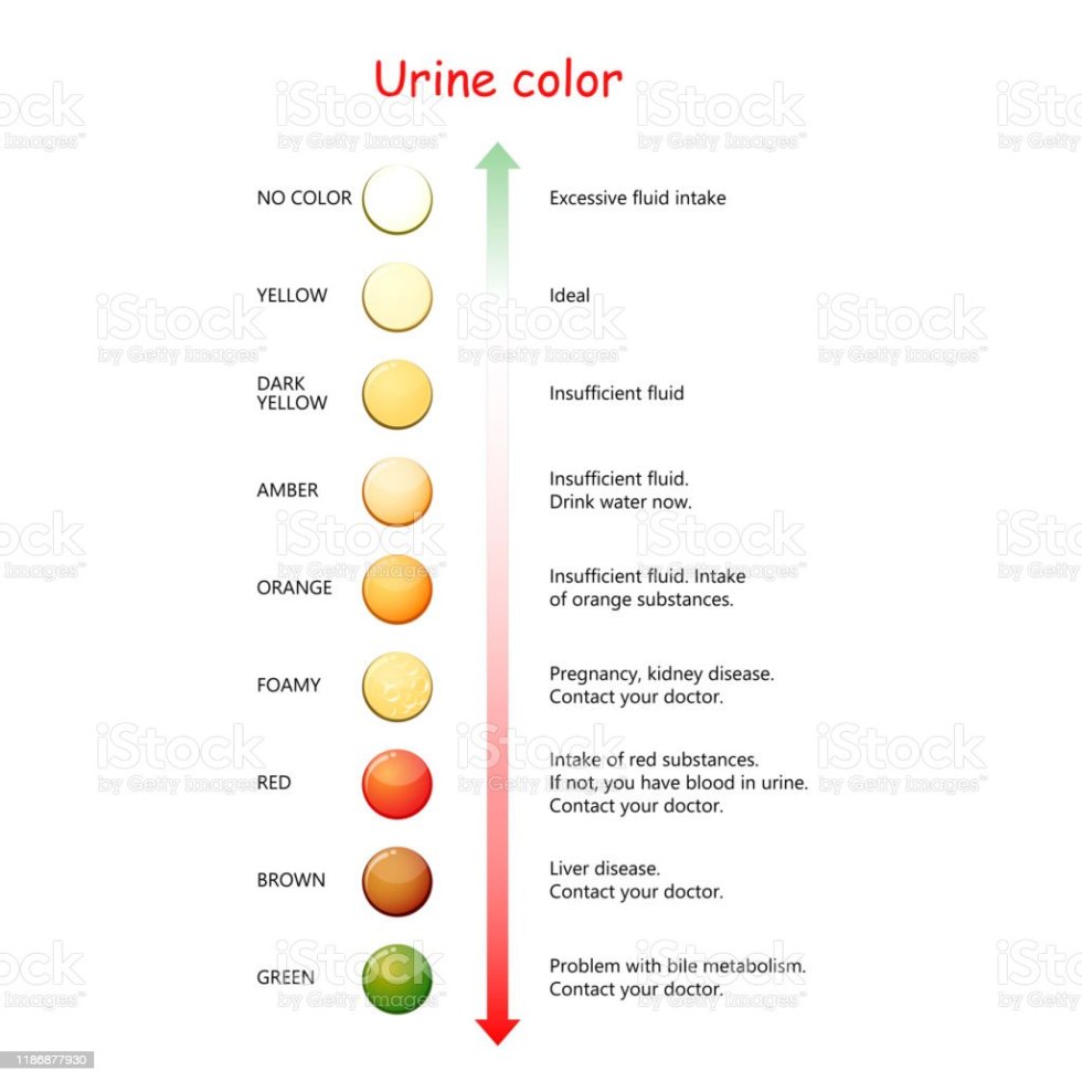 Mortality statistics from alcohol