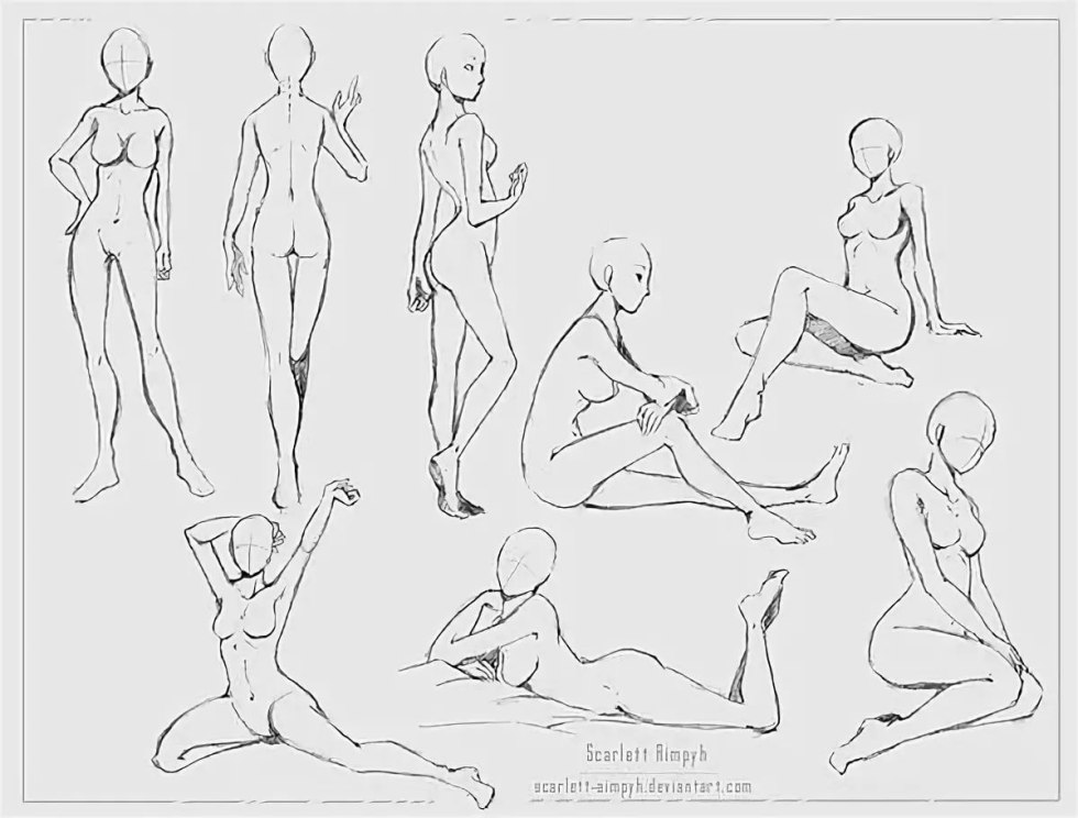 Pose reference gender of the body
