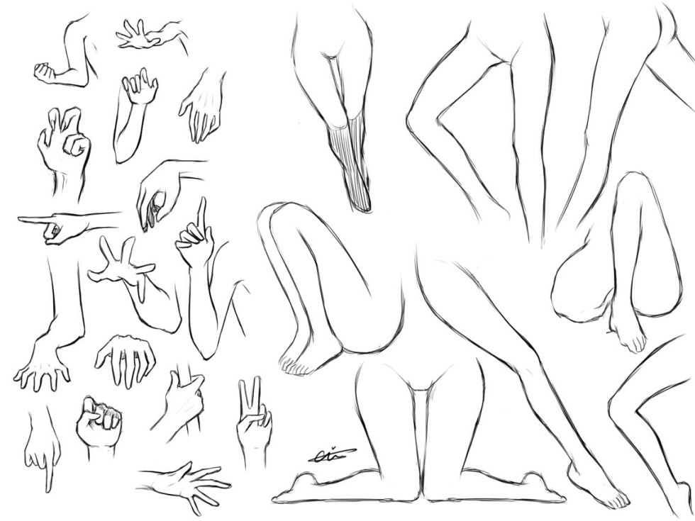 Sketches of body parts