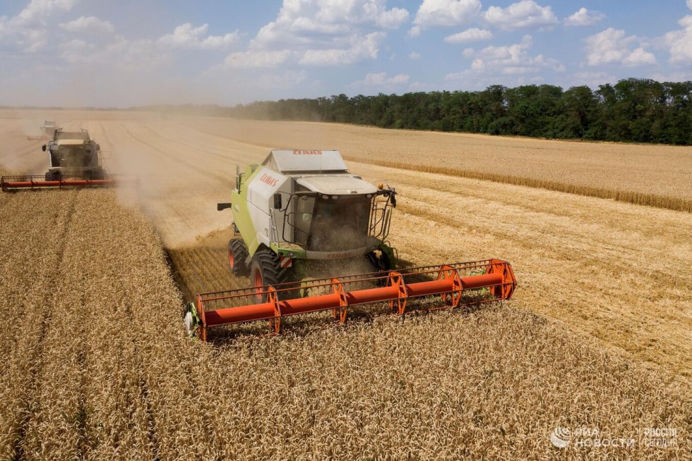 Karina Timkiv Letfan