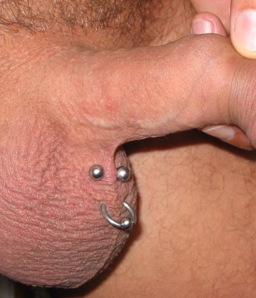 A lot of piercing on the scrotum