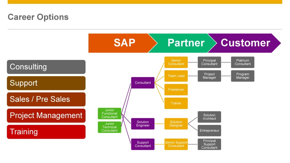 Career Training Usa Exchange Program