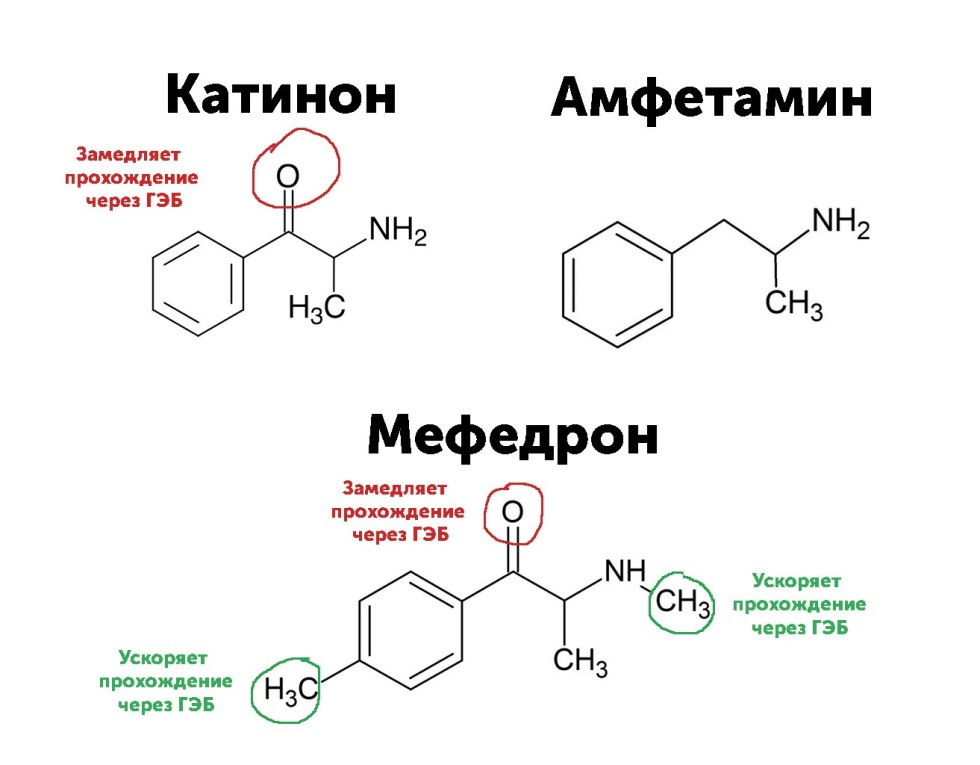 A chemical scheme of amphetamine