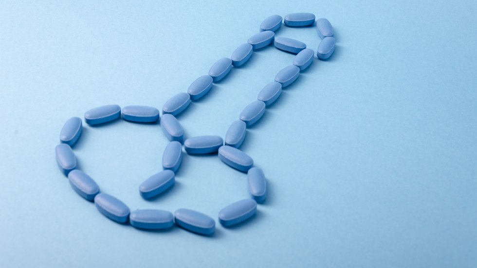 Royal Black Ant "Black Ant King" 10 Tab