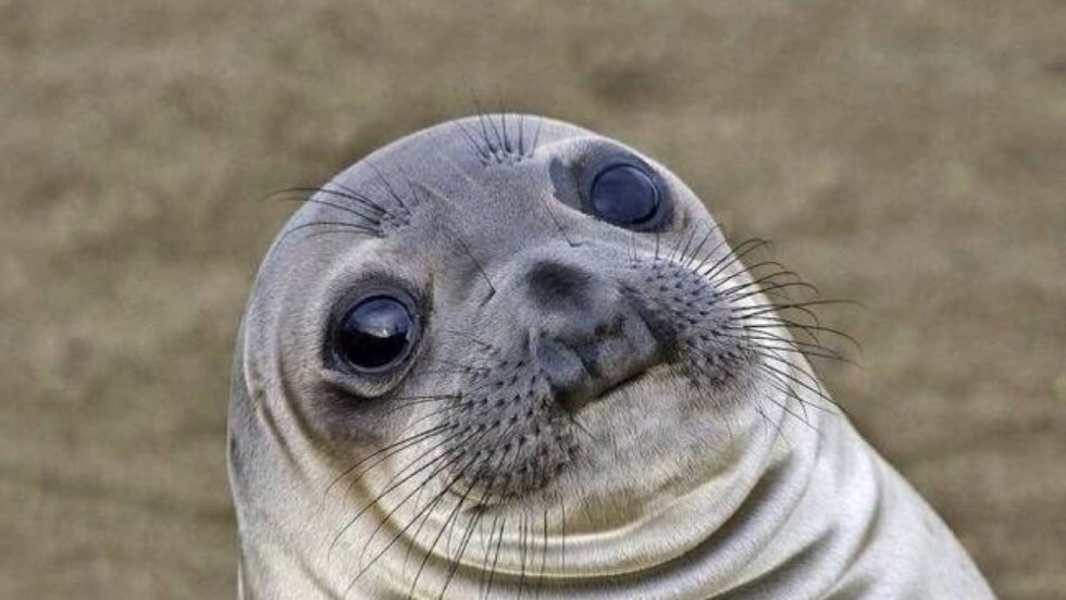 Milfy City Linda Kiss