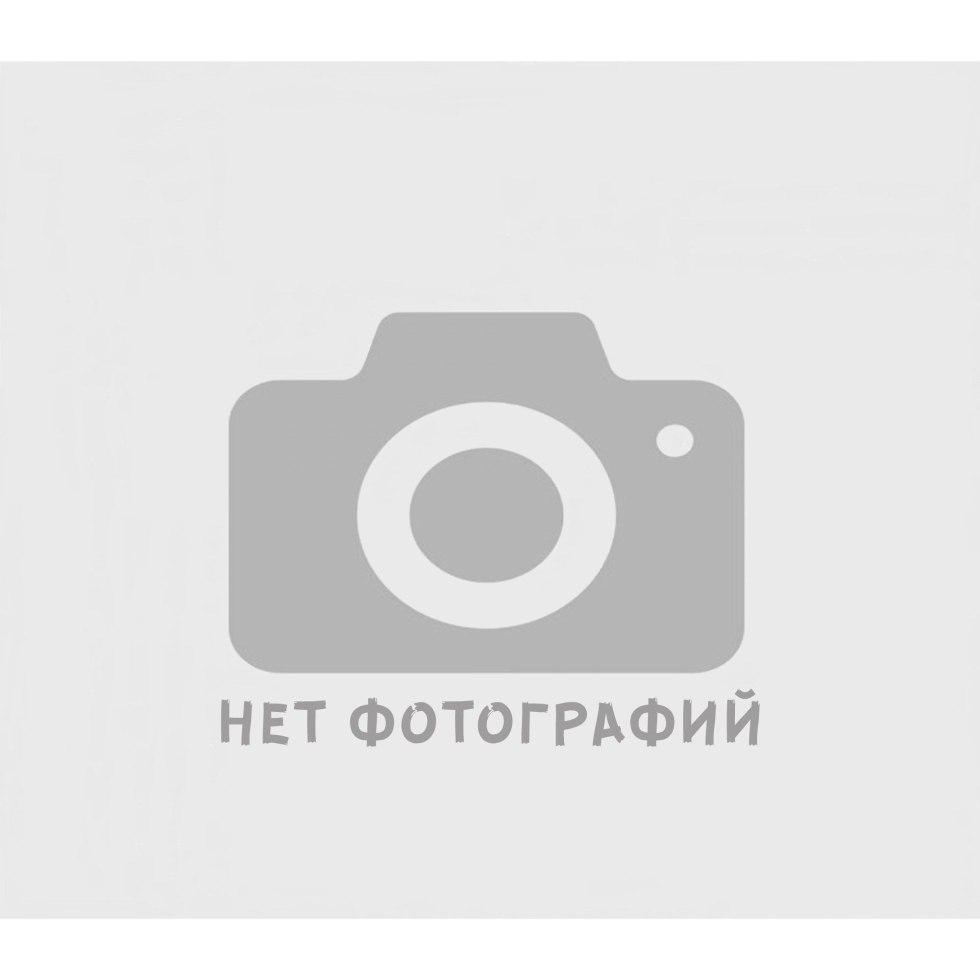 Statistics Pornhab 2019