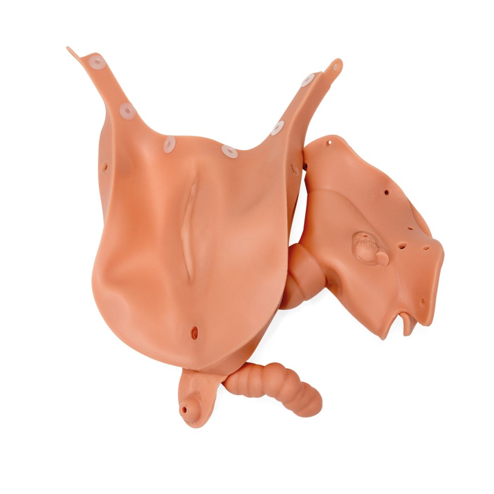 PRONO CAGED RUBBER Pete Taken Out to be Used