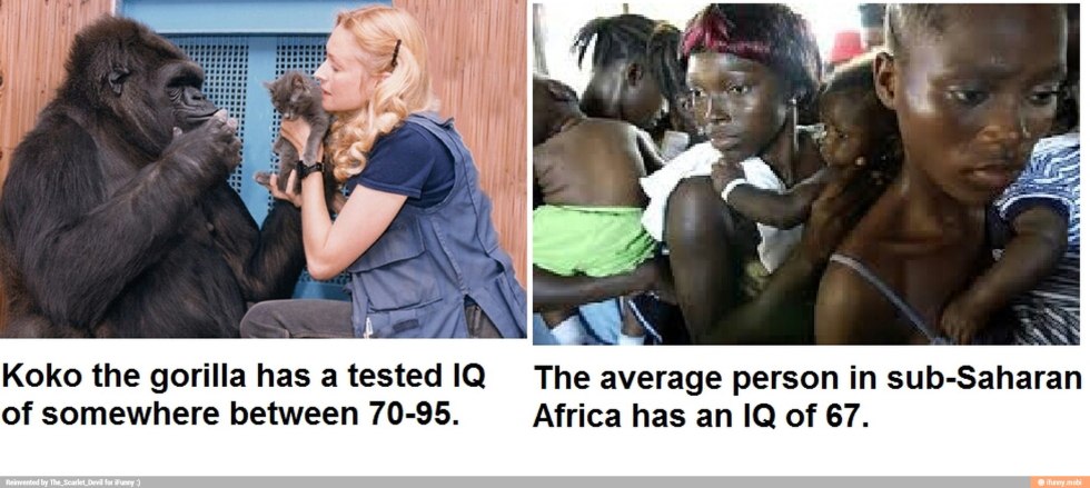 Hulio Gomez porn actor