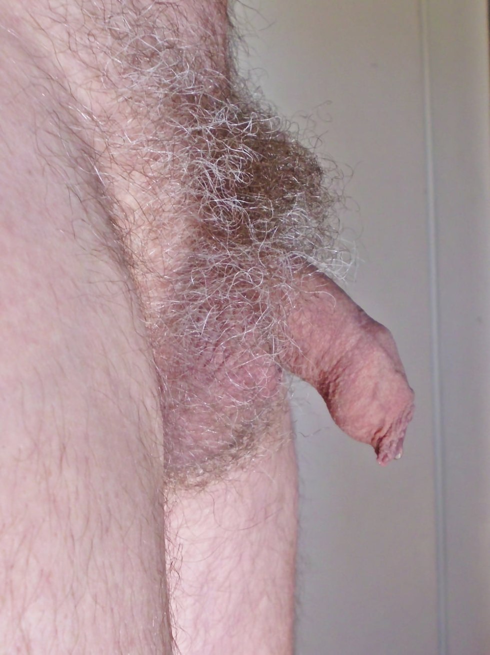 Naked hairy ladies in good quality