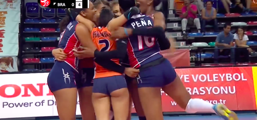 Volleyball player VPL