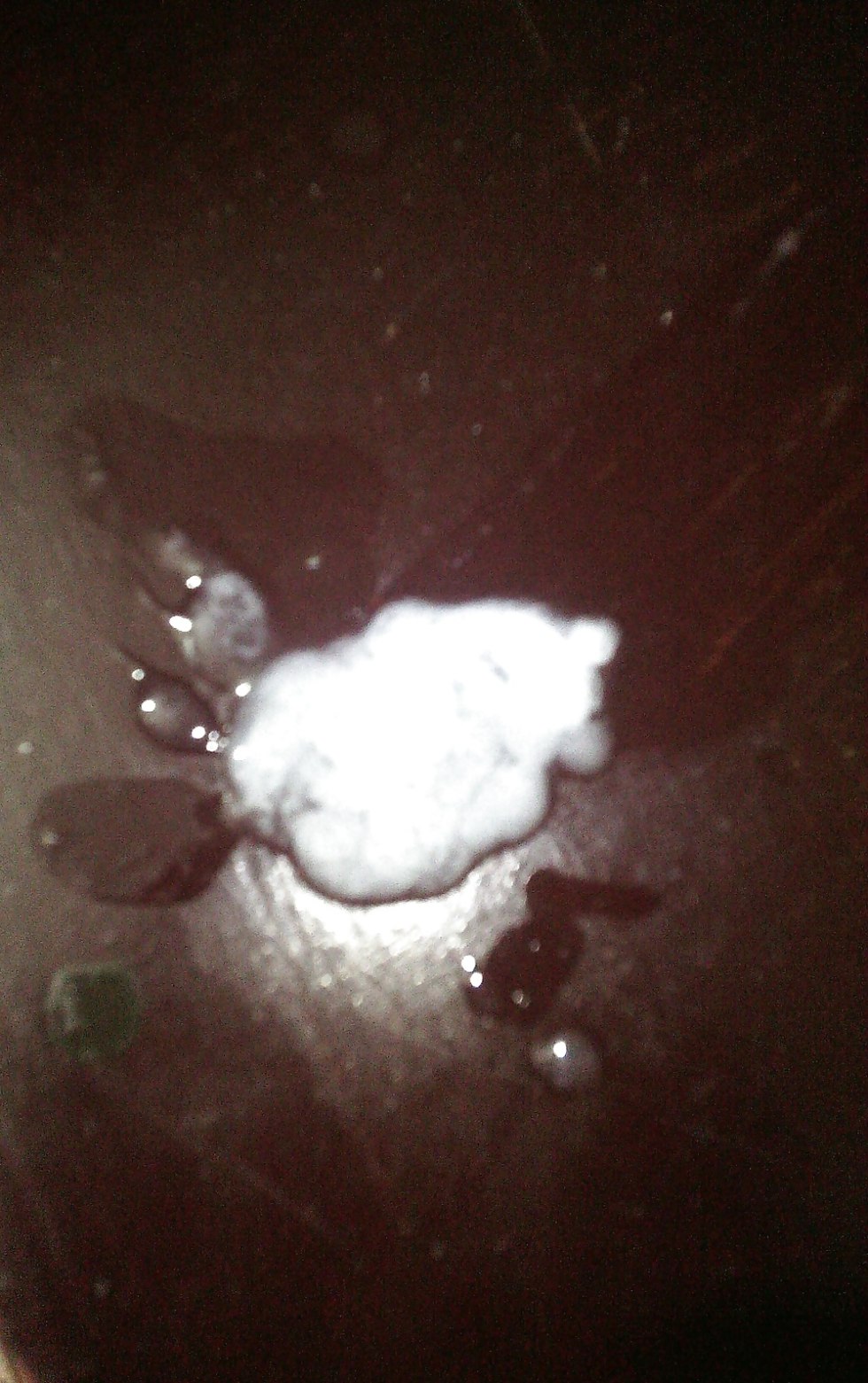 Beautiful girls cum on the face