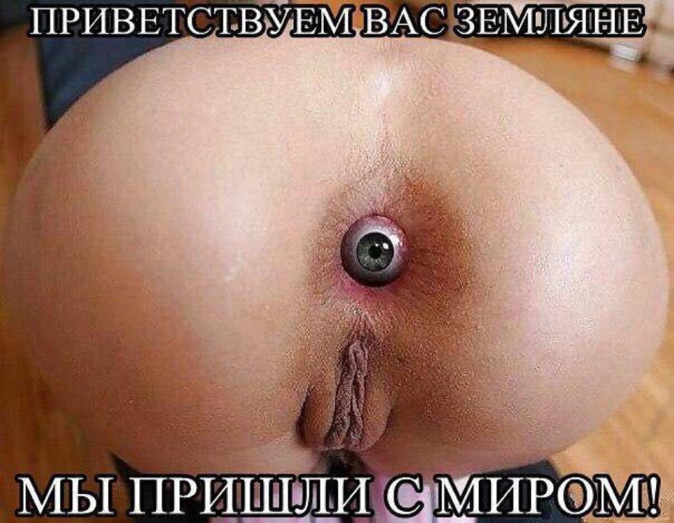 The largest female anuses