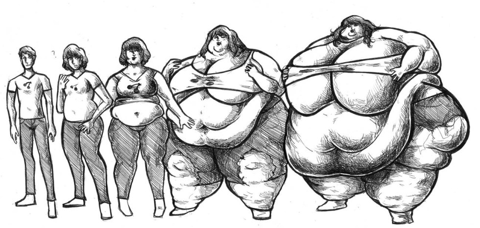 Feedee sketch