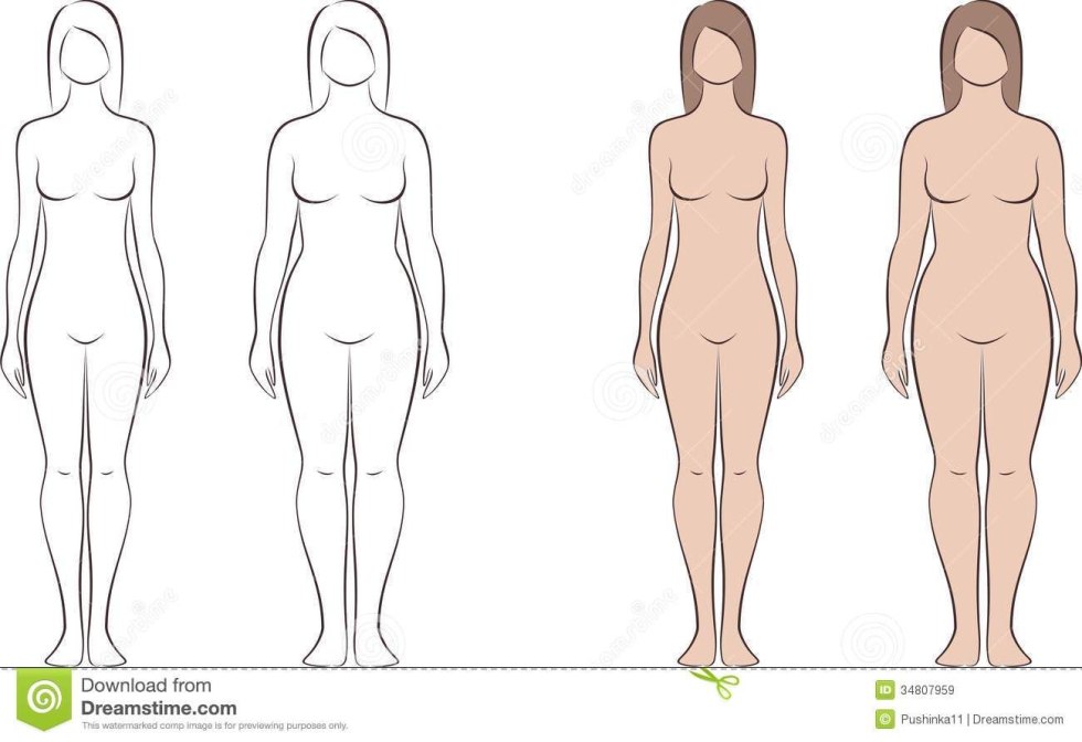Body scheme of a woman