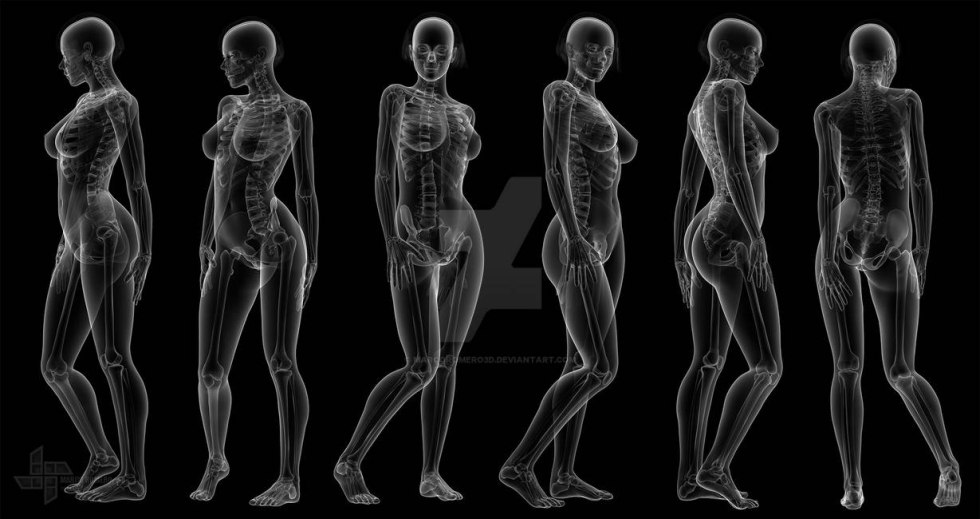 The skeleton of the woman X -ray