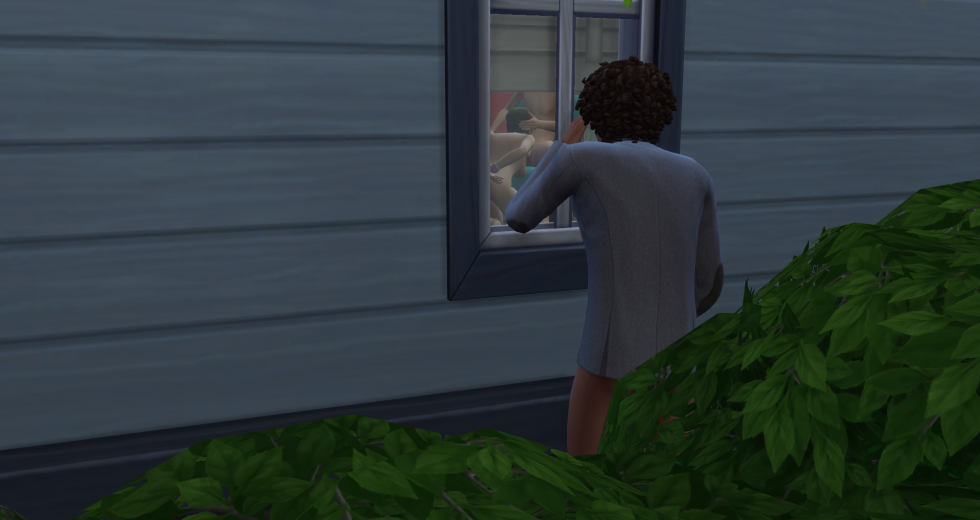 Erotic version Sims 4