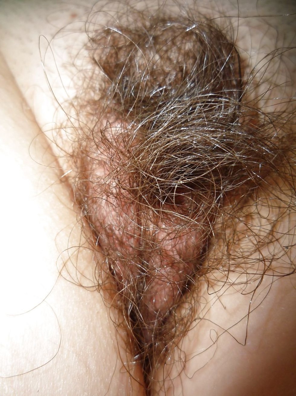 Female pubic hair