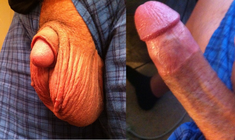 Noble member and Asian