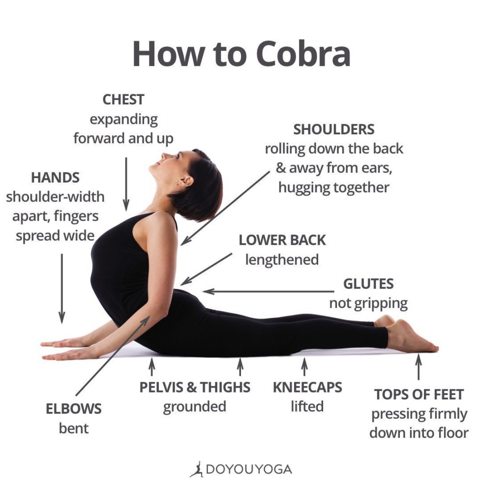 Differences between the male and female pelvis