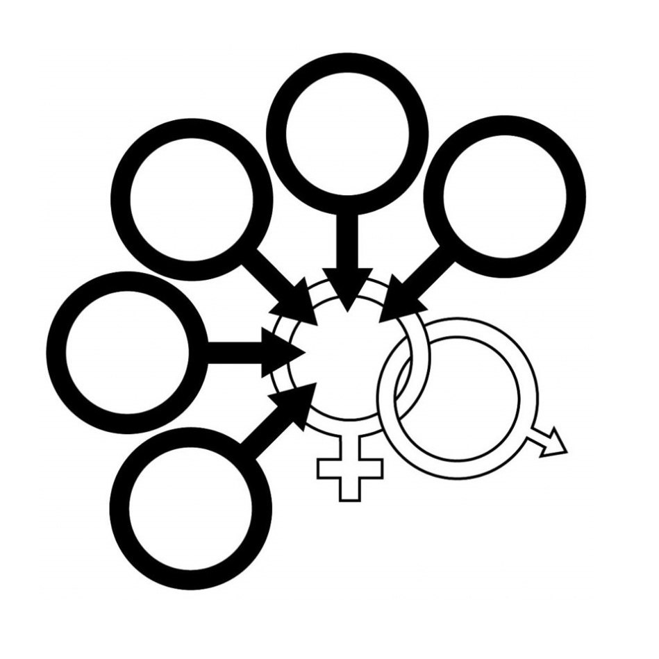 Classification of pugs