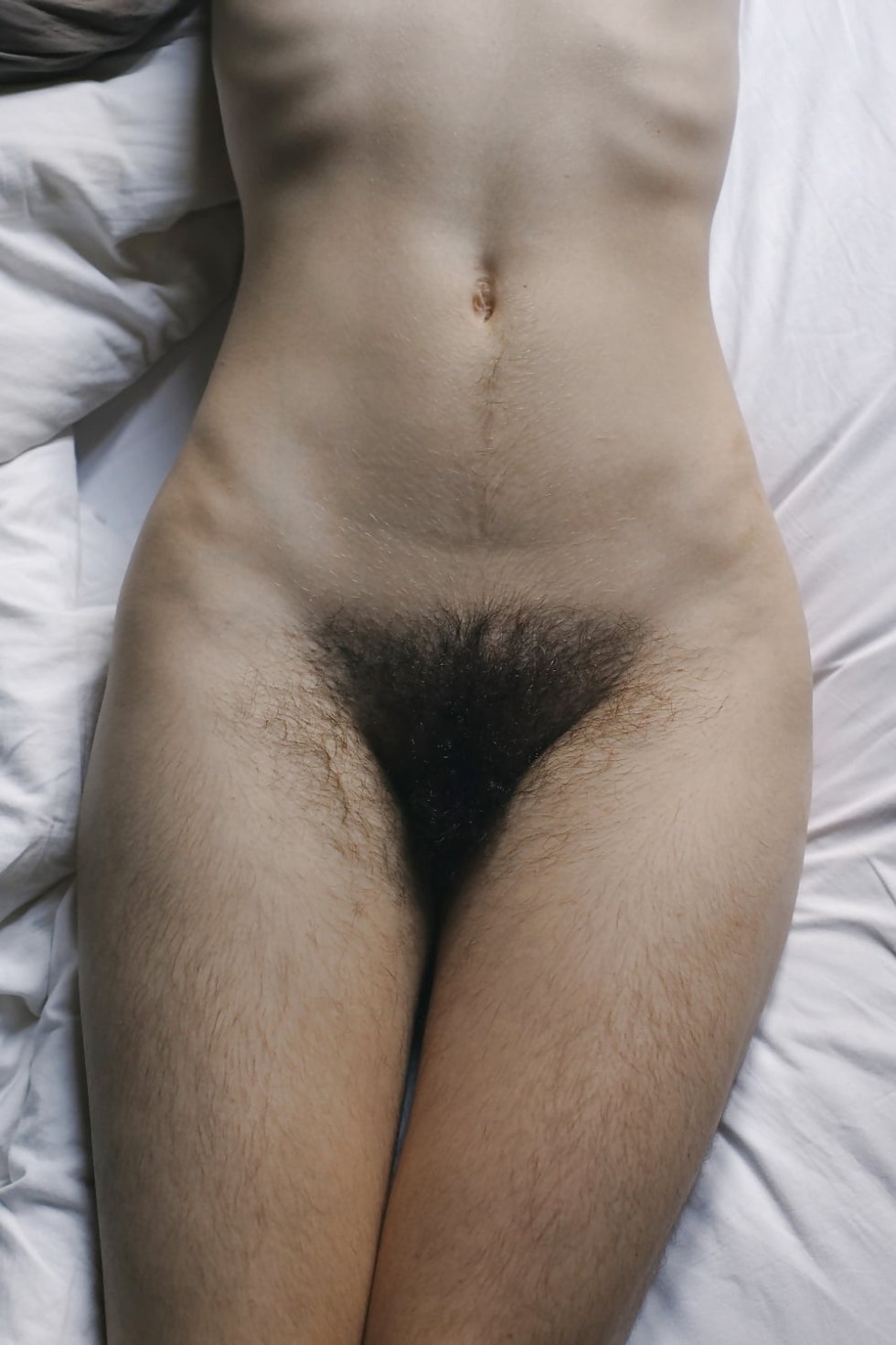 Beautiful hairy female pubis