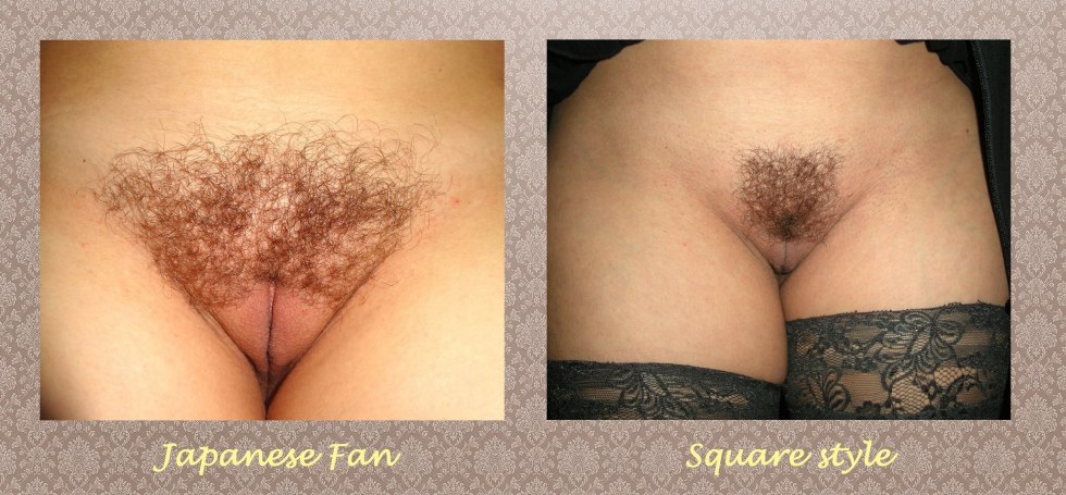 Brown hair on the pubis