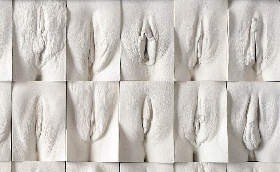 Female genital organ