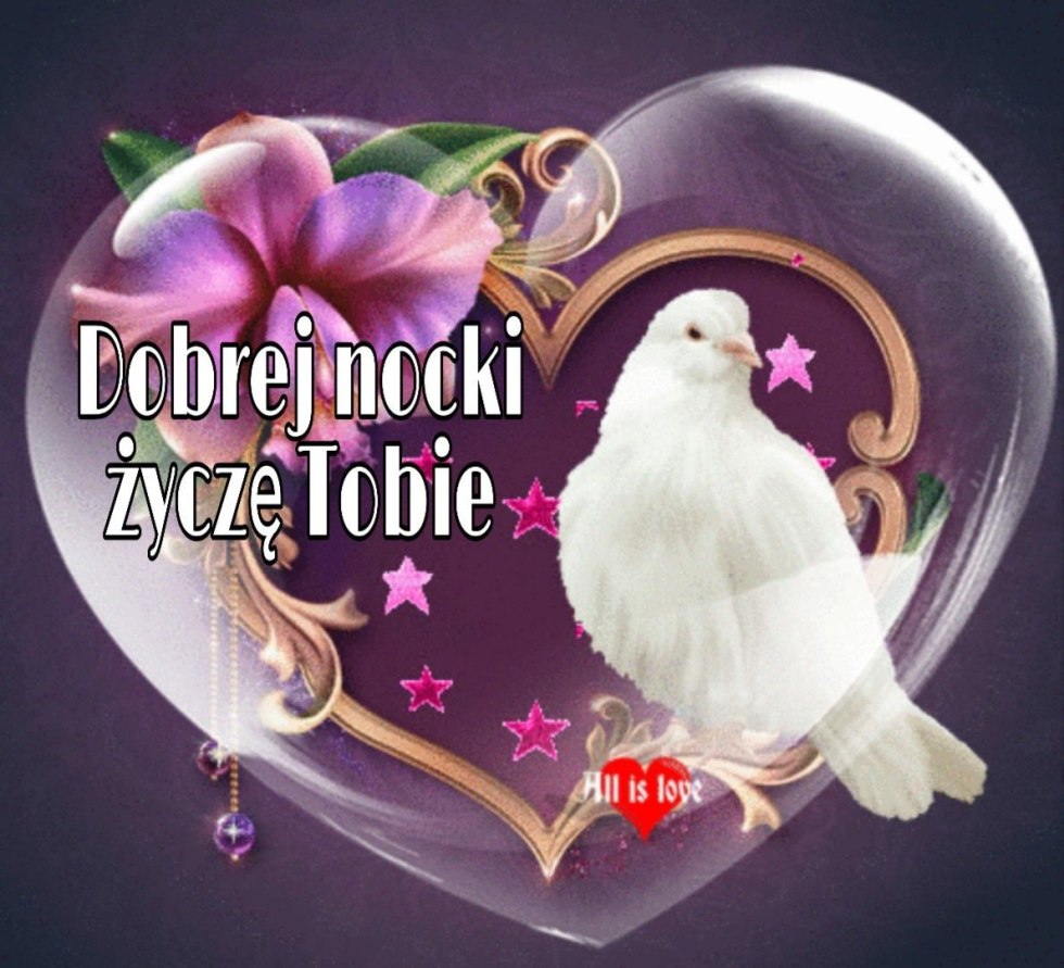 Rainbow Six Siege Ela anime