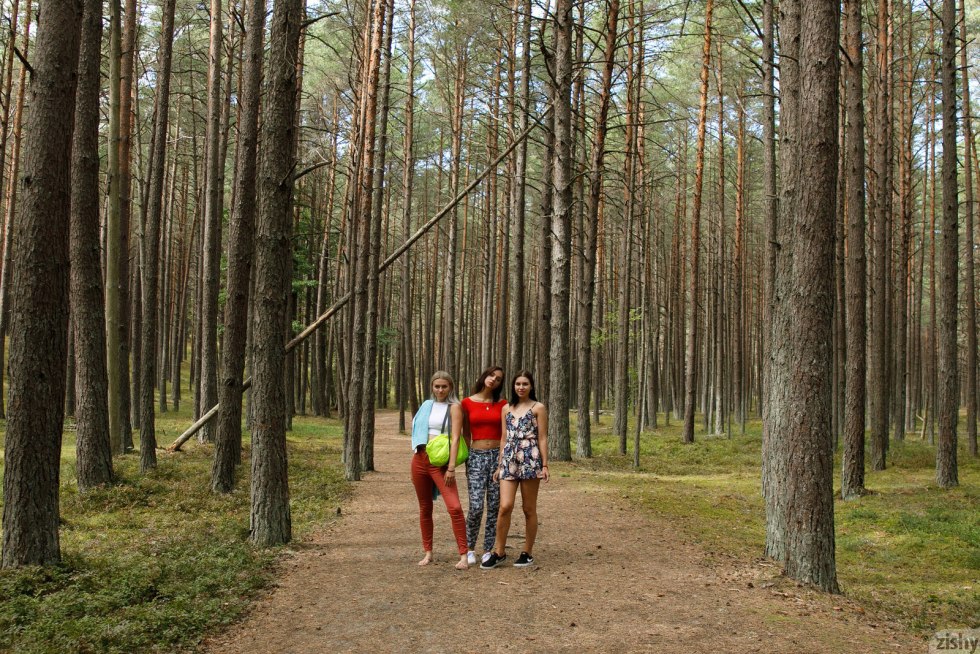 Three Girls One Forest