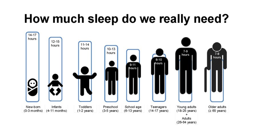 How Much Sleep Do We Really Need