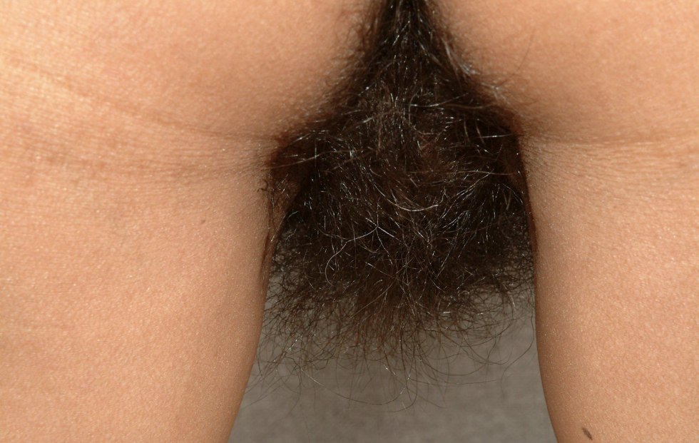 Hairy pubis amateur