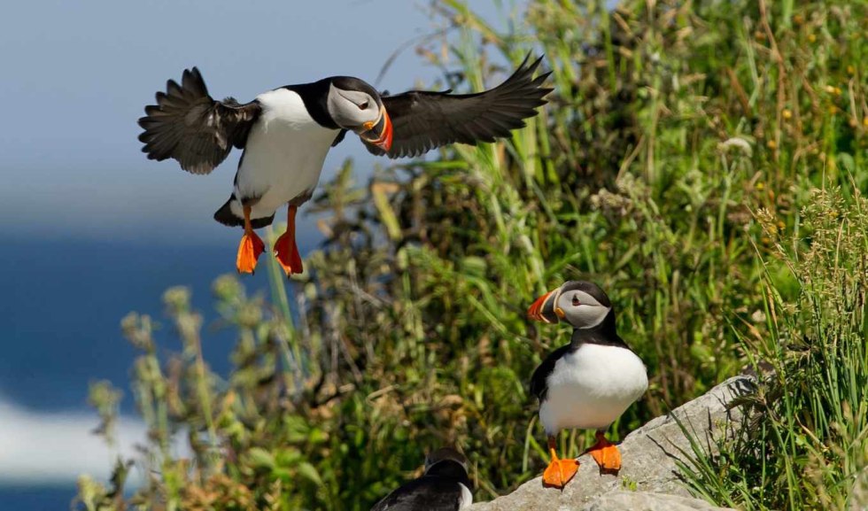 Nikon D300 Photos examples