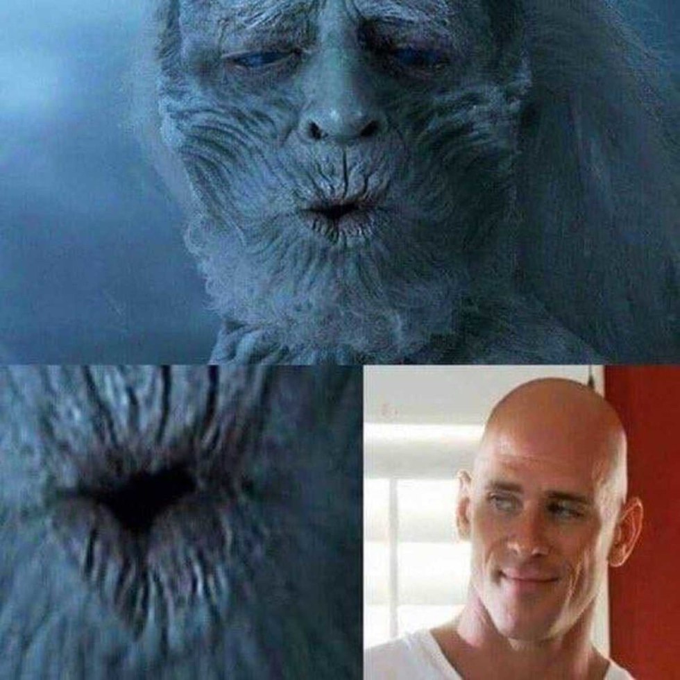 King of the Night meme