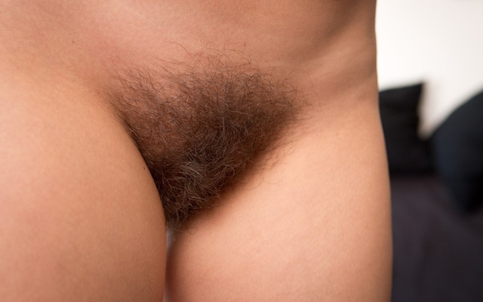 Not a shaved female pubis
