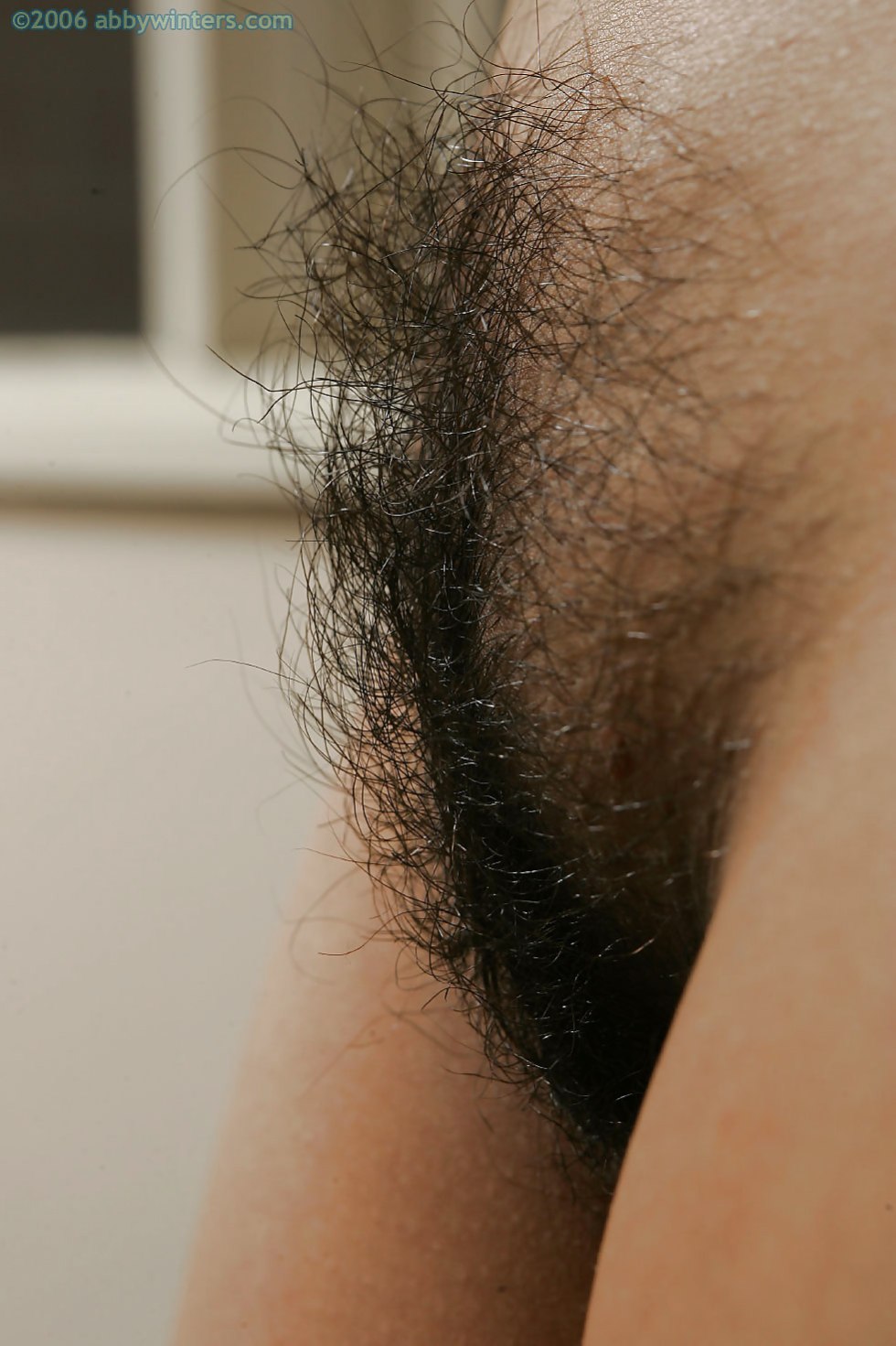 Beautiful brown -haired brown -haired pussy
