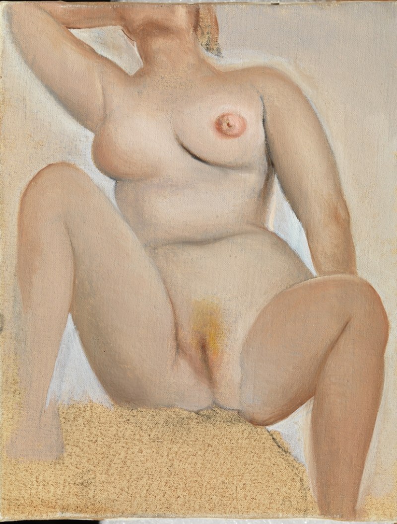Feminine pubis in the paintings of artists