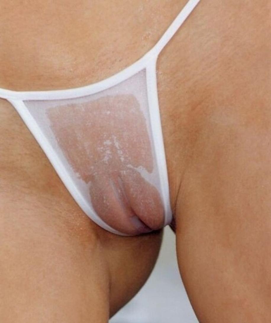 Women's pussies in transparent panties